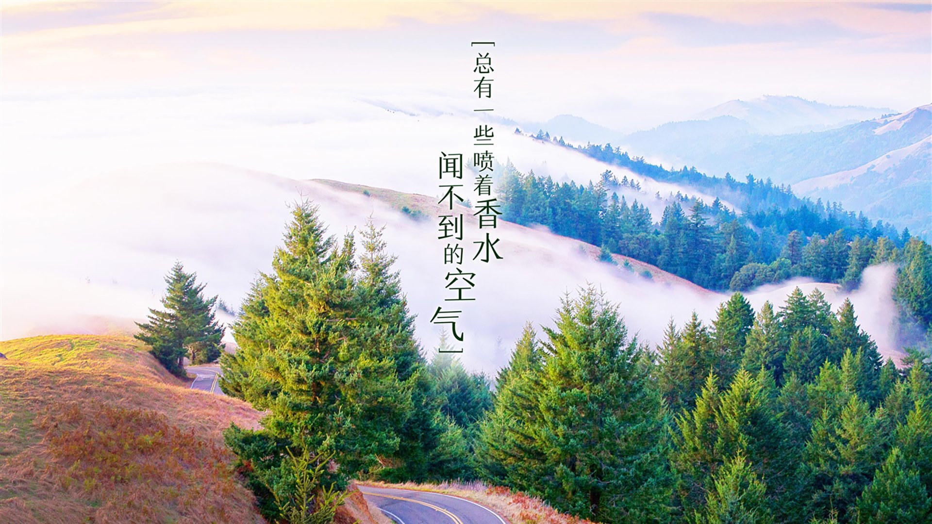 中国足球传控节奏与控球区域关联，足球传控打法