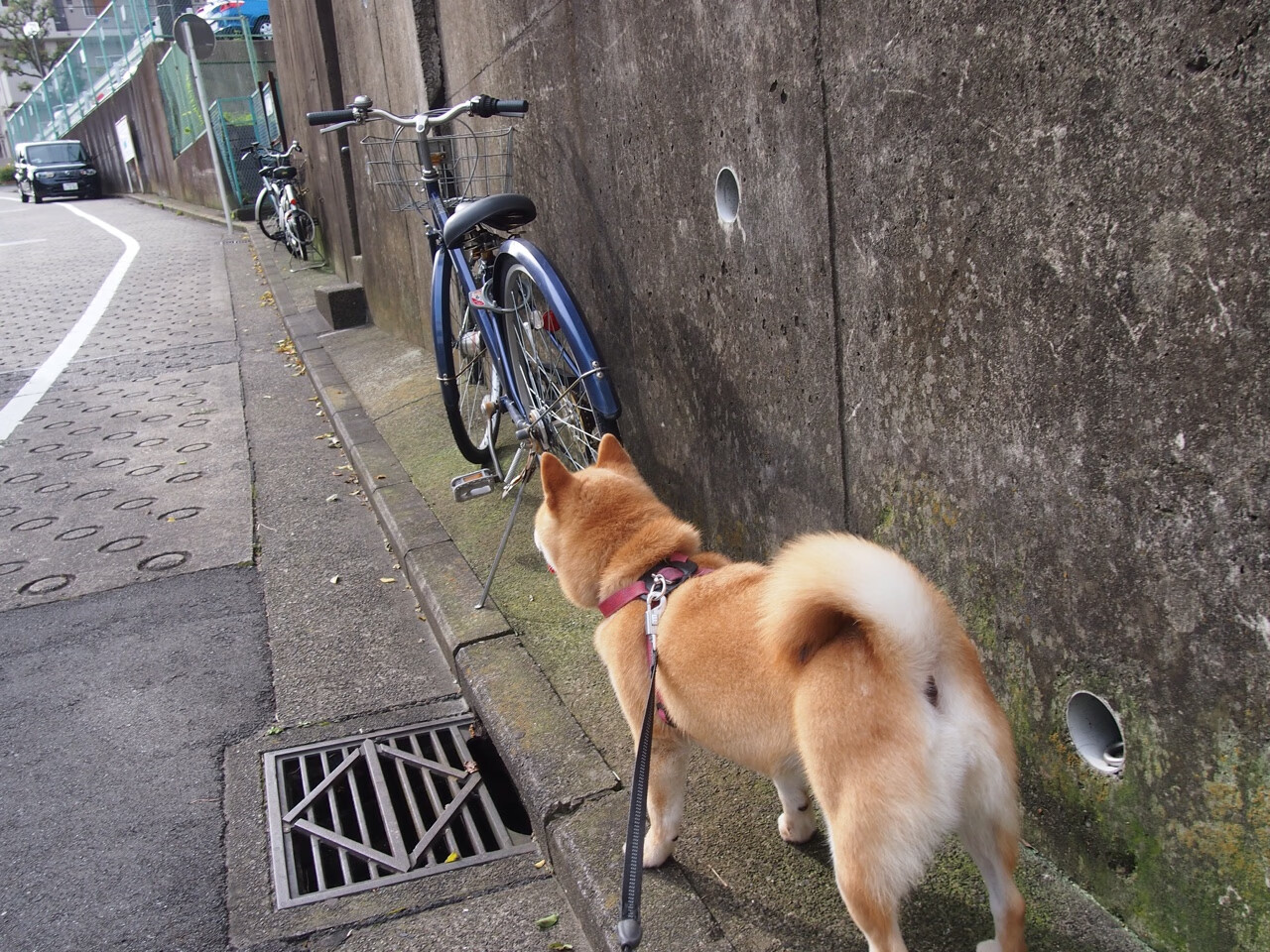 篮球运动员专项技能训练课程体系创新设计与实施,篮球运动员专项技能特征