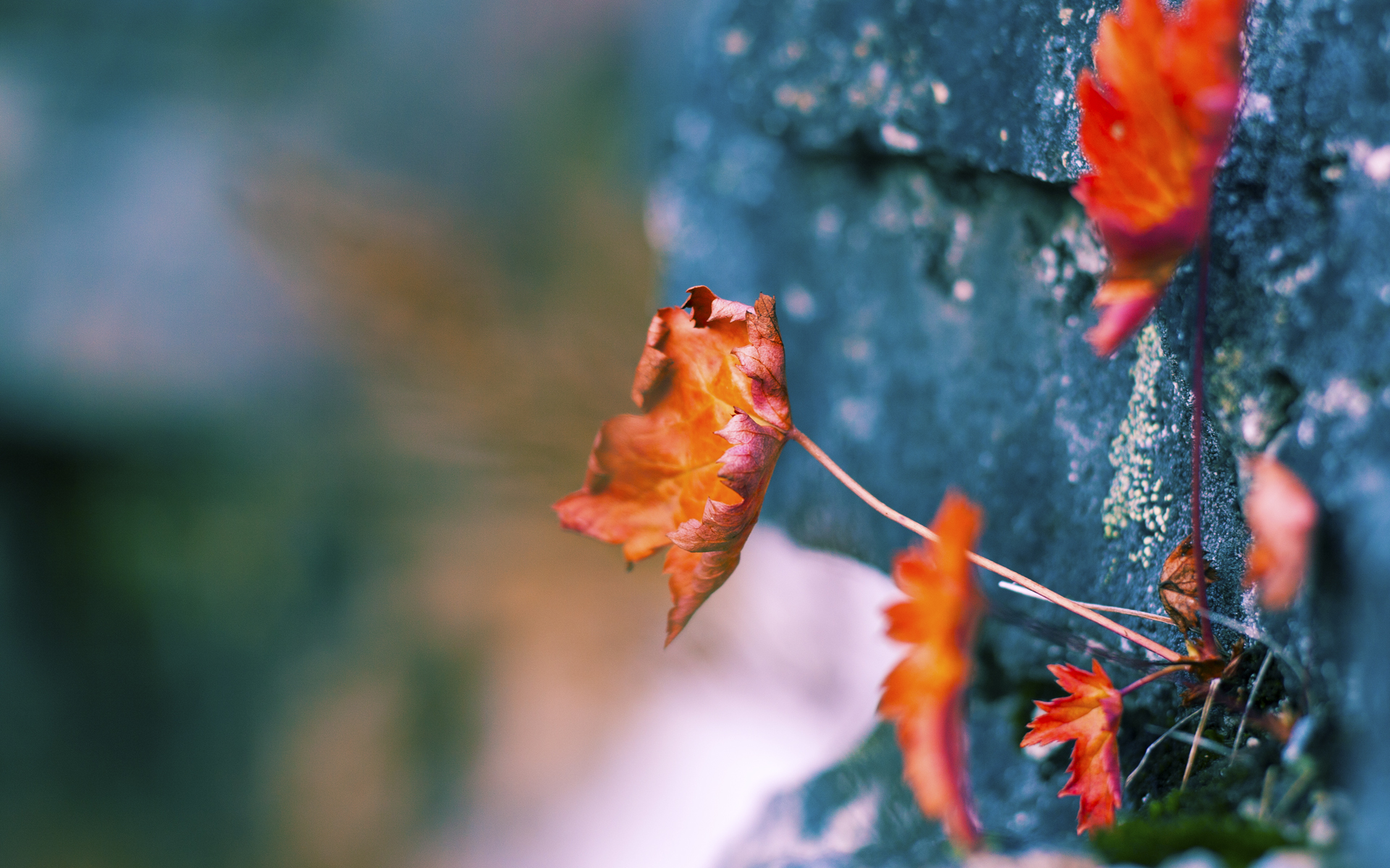 体育新闻中心推动智能体育场馆管理系统建设,体育场馆智慧化建设