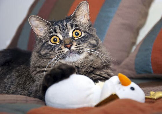 国际热身赛U23国足战平 球员拼搏精神感人,u22国足热身赛