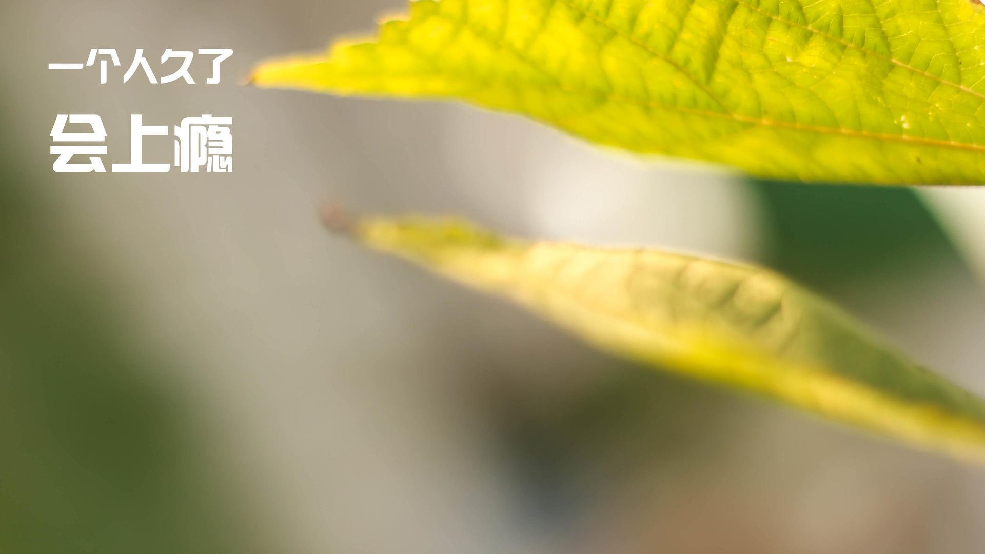 奥运村建设保障设施升级，奥运村建设保障设施升级方案