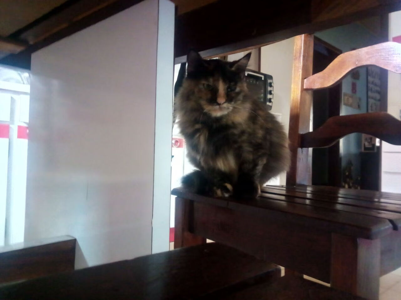 职业联赛替补球员上场时间分配不科学,替补球员从哪上场