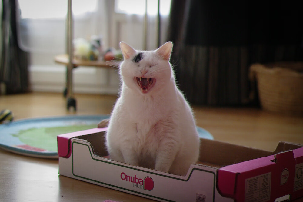 华体会-体育新闻中心奥运风采回顾，体育新闻奥运直播