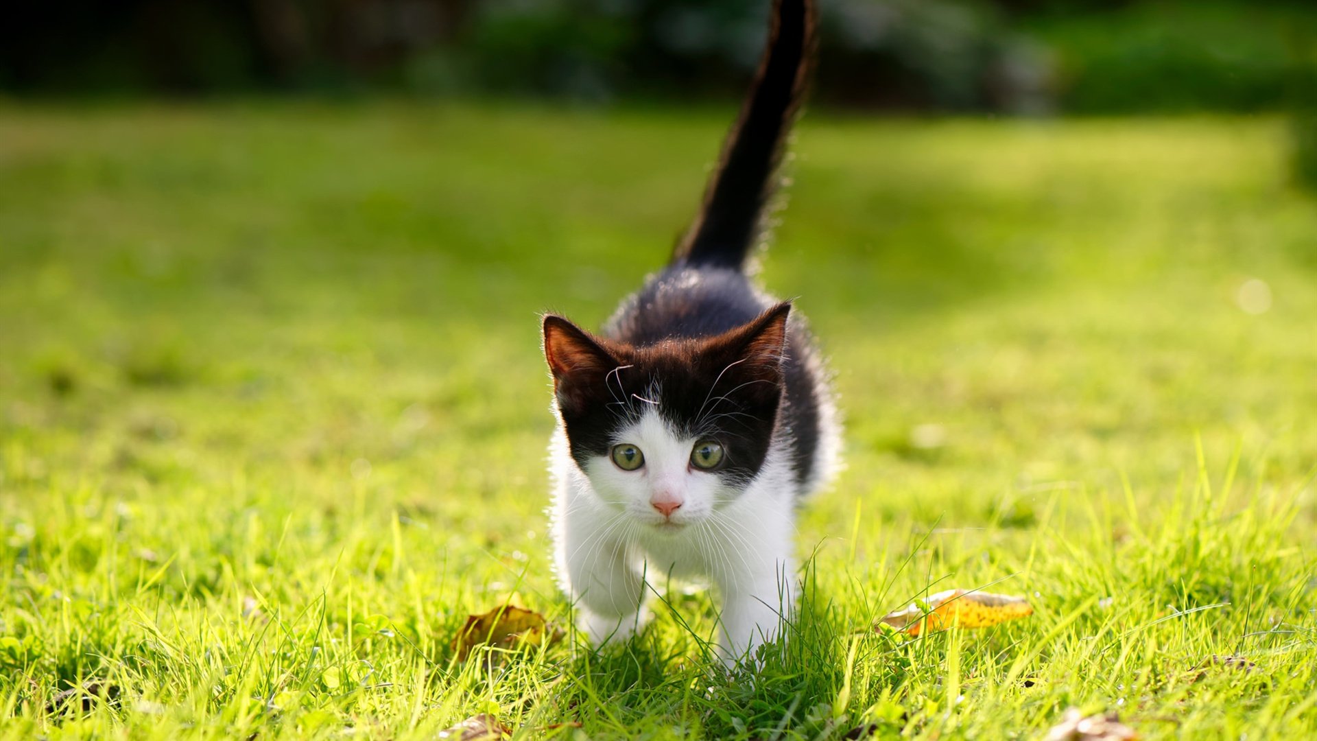 华体会登录-国家队科学训练体系不断完善推动竞技水平稳步提升，国家体育总局科学训练讲座