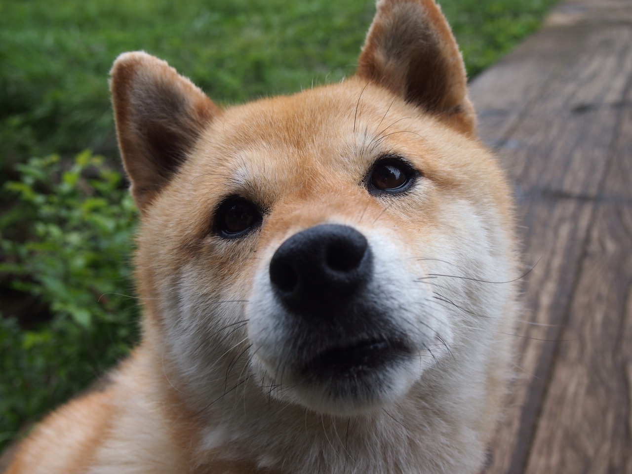 意甲快攻秒杀:瞬间突破,精彩不断!,意甲边路快马