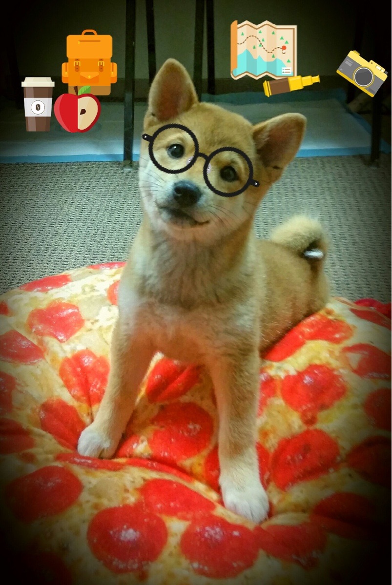 青训球员职业认知课程纳入周训计划加强规划意识,青训球员的定义